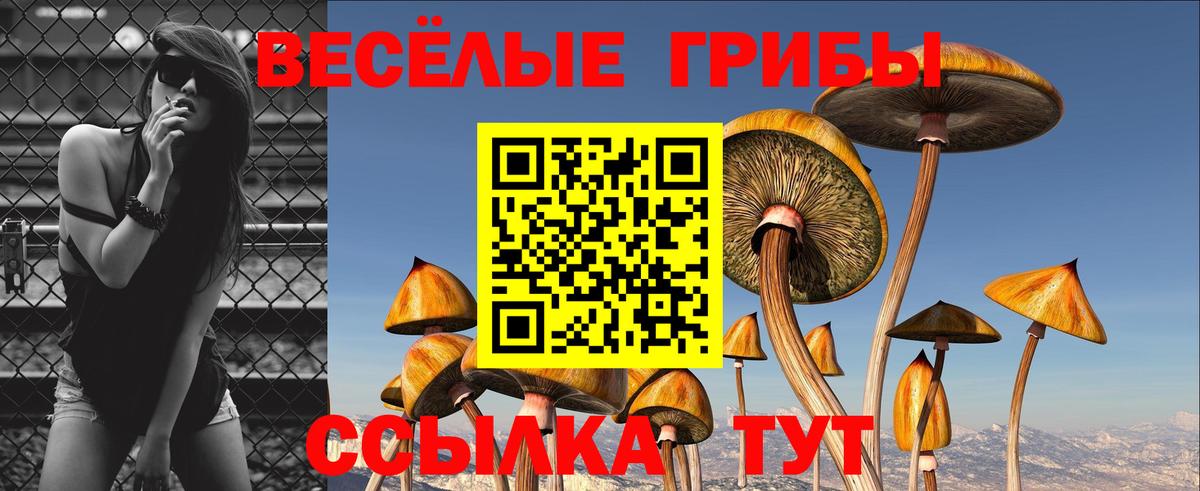 Галлюциногенные грибы Cubensis Псков