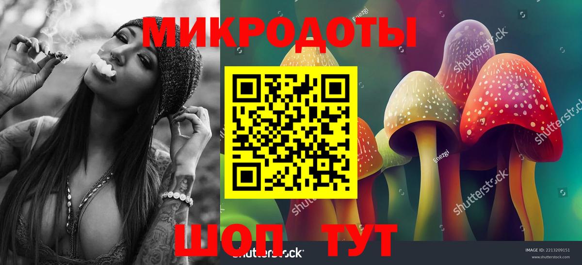 Галлюциногенные грибы Psilocybine cubensis  Вход с VPN  Галлюциногенные грибы прущие грибы  Псков 